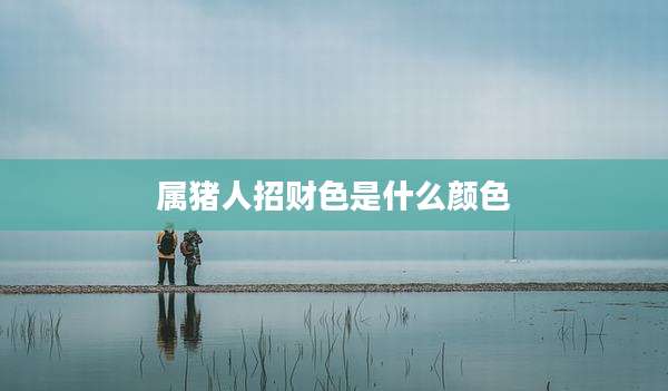 属猪人招财色是什么颜色