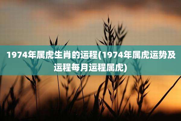 1974年属虎生肖的运程(1974年属虎运势及运程每月运程属虎)