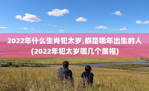 2022年什么生肖犯太岁,都是哪年出生的人(2022年犯太岁哪几个属相)