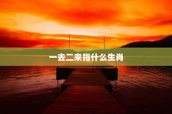 一去二来指什么生肖