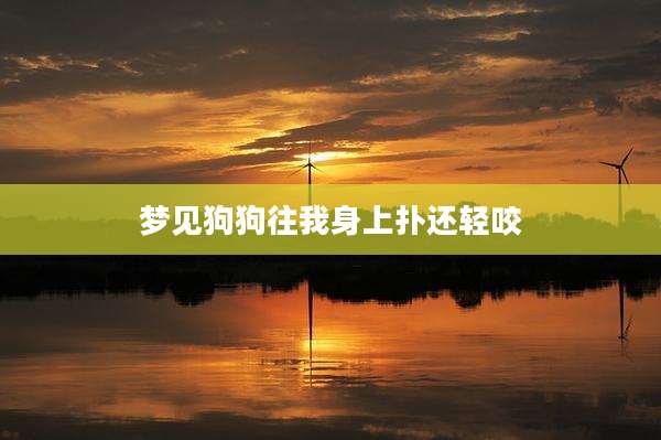 梦见狗狗往我身上扑还轻咬