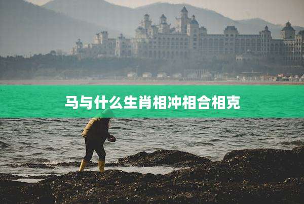 马与什么生肖相冲相合相克
