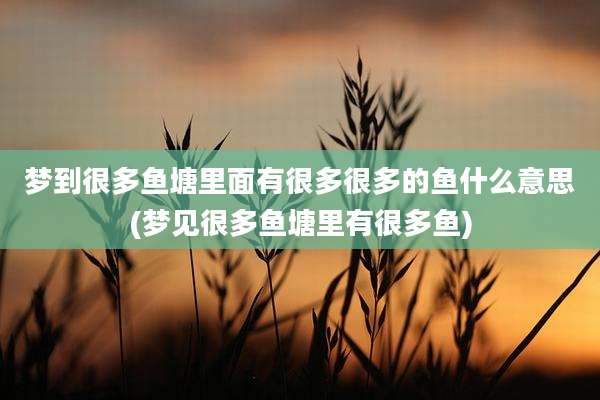 梦到很多鱼塘里面有很多很多的鱼什么意思(梦见很多鱼塘里有很多鱼)