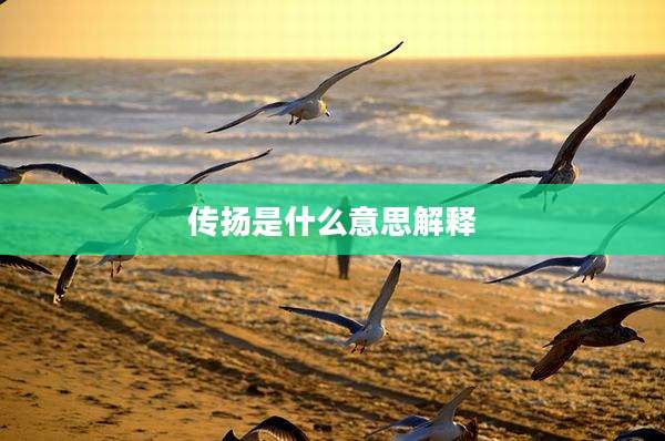 传扬是什么意思解释