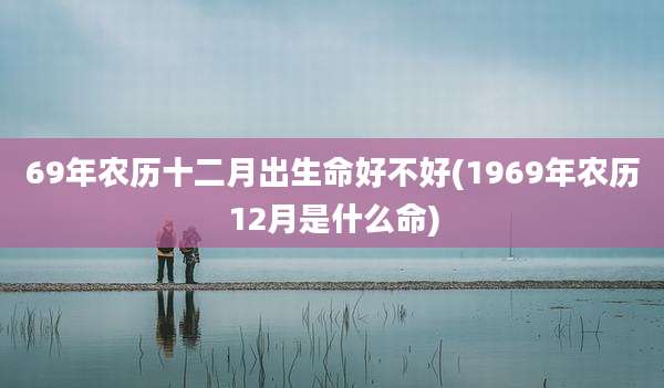 69年农历十二月出生命好不好(1969年农历12月是什么命)