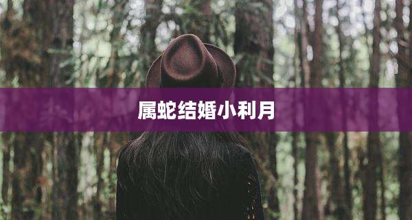 属蛇结婚小利月