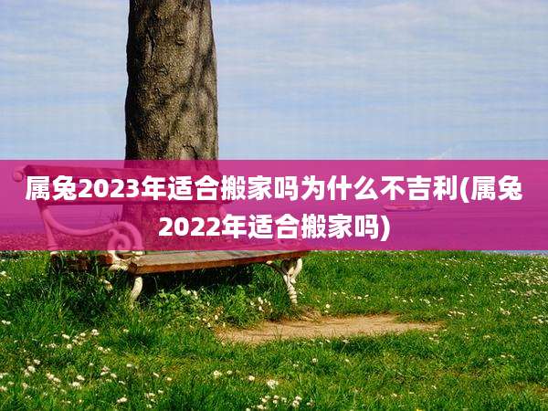 属兔2023年适合搬家吗为什么不吉利(属兔2022年适合搬家吗)
