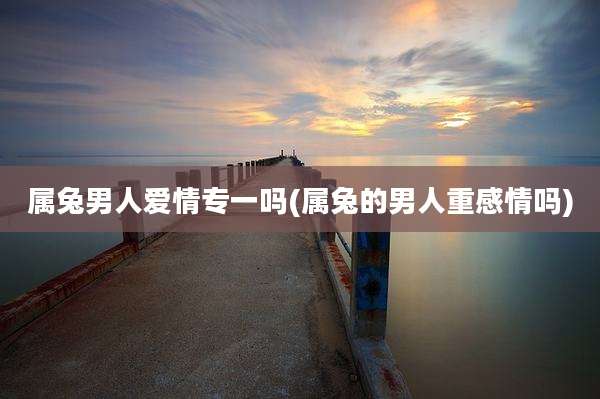 属兔男人爱情专一吗(属兔的男人重感情吗)