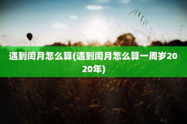 遇到闰月怎么算(遇到闰月怎么算一周岁2020年)