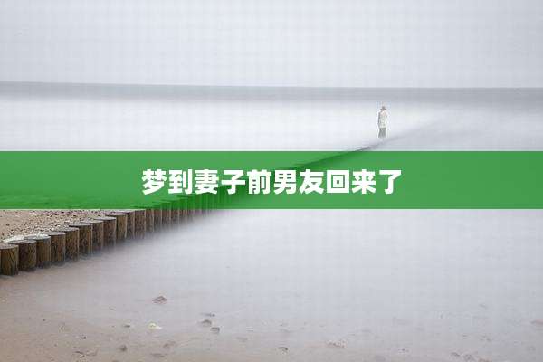 梦到妻子前男友回来了