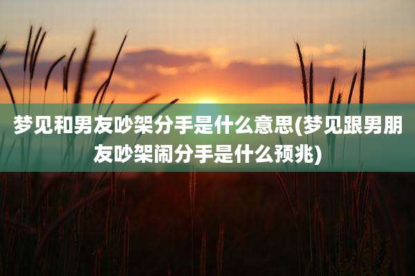梦见和男友吵架分手是什么意思(梦见跟男朋友吵架闹分手是什么预兆)