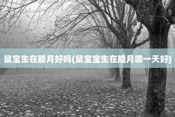鼠宝生在腊月好吗(鼠宝宝生在腊月哪一天好)