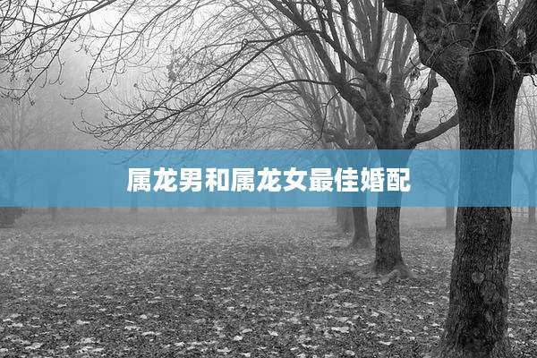 属龙男和属龙女最佳婚配