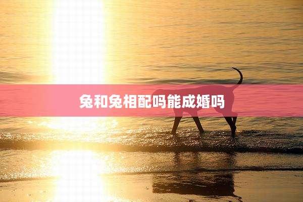 兔和兔相配吗能成婚吗