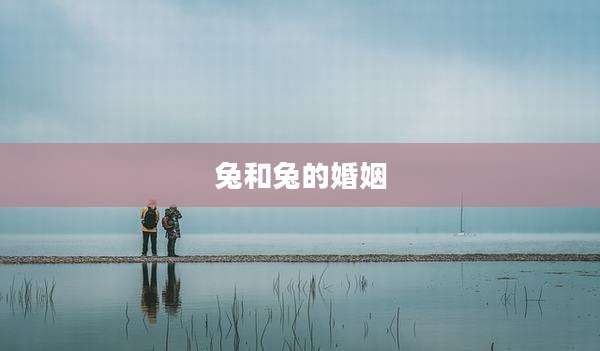 兔和兔的婚姻