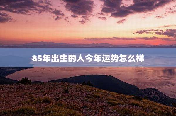 85年出生的人今年运势怎么样