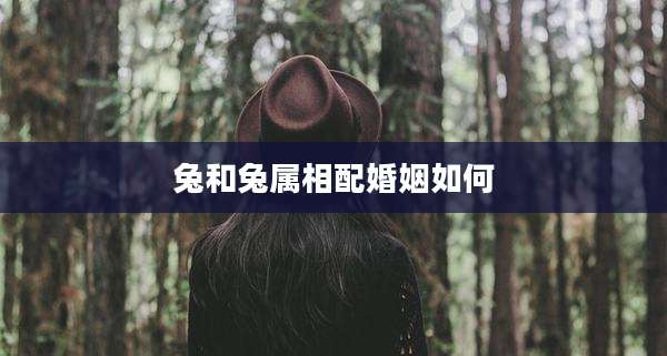 兔和兔属相配婚姻如何