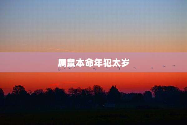 属鼠本命年犯太岁