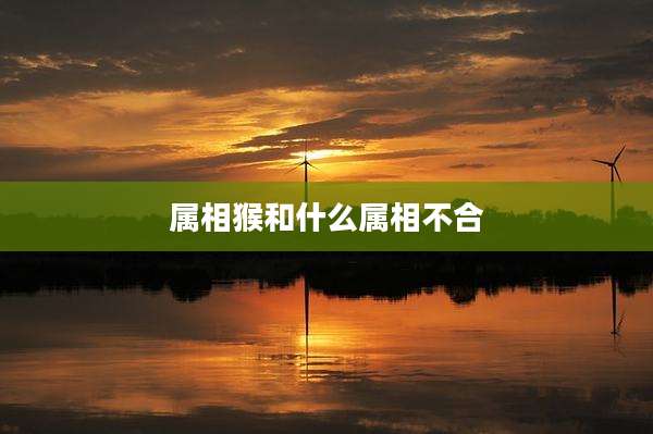 属相猴和什么属相不合