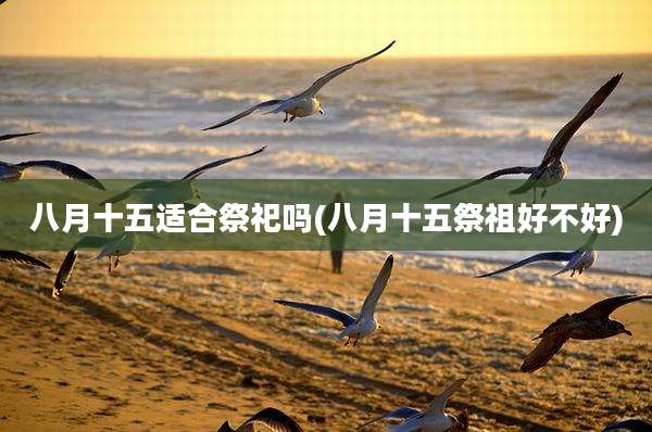 八月十五适合祭祀吗(八月十五祭祖好不好)