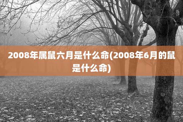 2008年属鼠六月是什么命(2008年6月的鼠是什么命)