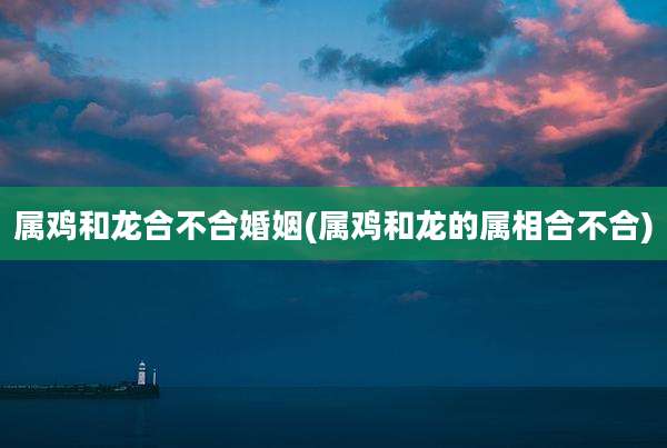 属鸡和龙合不合婚姻(属鸡和龙的属相合不合)