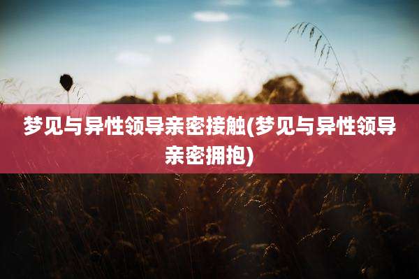 梦见与异性领导亲密接触(梦见与异性领导亲密拥抱)