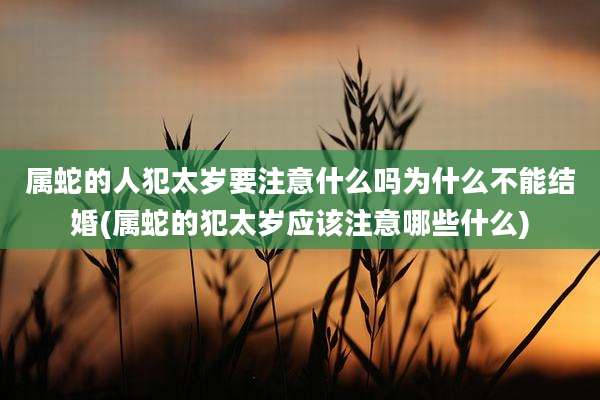 属蛇的人犯太岁要注意什么吗为什么不能结婚(属蛇的犯太岁应该注意哪些什么)