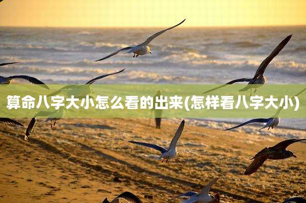 算命八字大小怎么看的出来(怎样看八字大小)