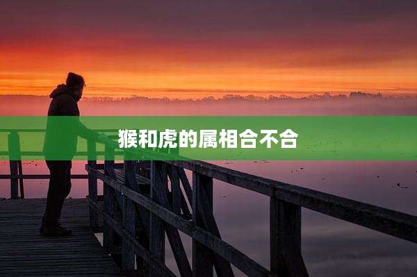 猴和虎的属相合不合