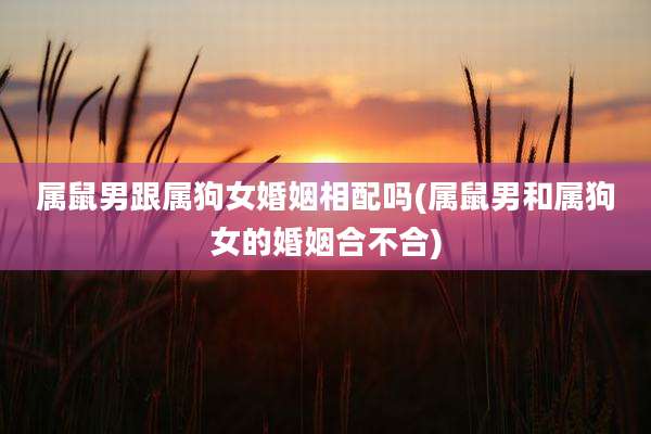属鼠男跟属狗女婚姻相配吗(属鼠男和属狗女的婚姻合不合)