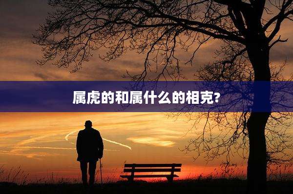 属虎的和属什么的相克?