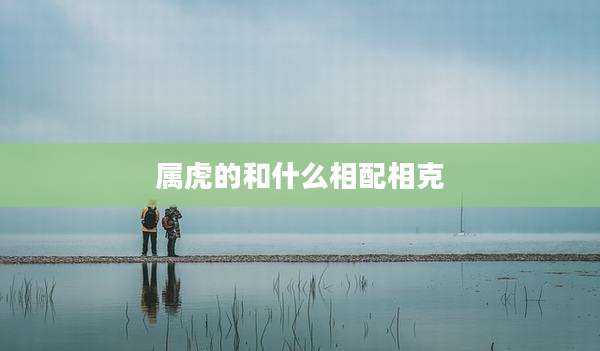 属虎的和什么相配相克