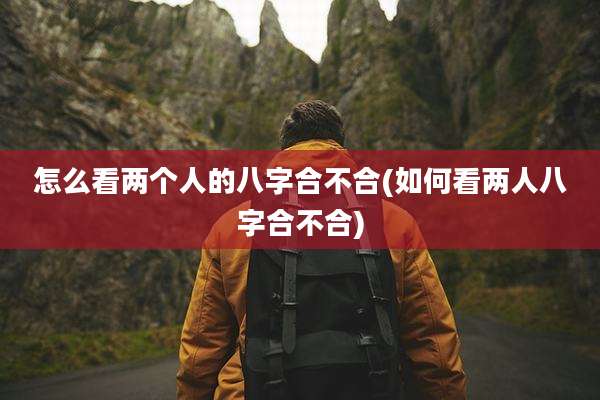 怎么看两个人的八字合不合(如何看两人八字合不合)