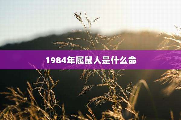 1984年属鼠人是什么命