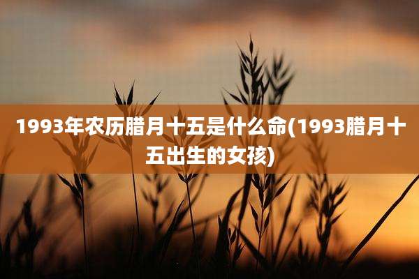 1993年农历腊月十五是什么命(1993腊月十五出生的女孩)