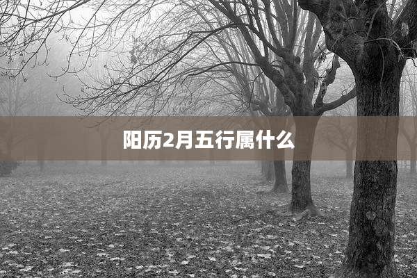 阳历2月五行属什么