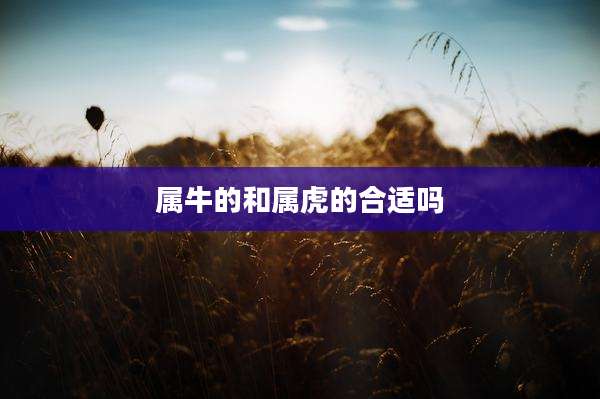 属牛的和属虎的合适吗