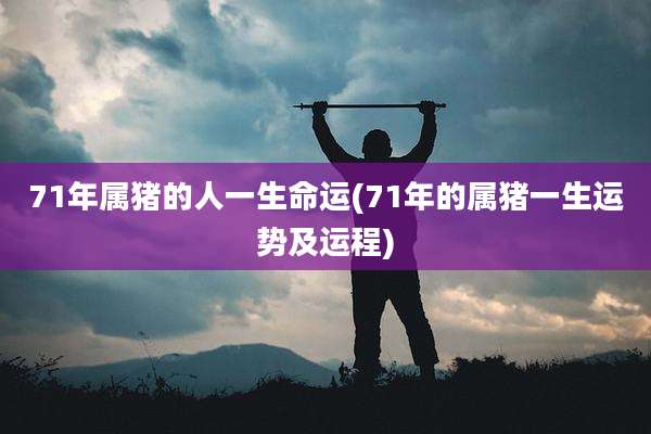 71年属猪的人一生命运(71年的属猪一生运势及运程)