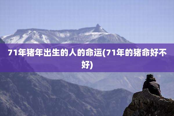 71年猪年出生的人的命运(71年的猪命好不好)