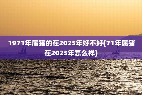 1971年属猪的在2023年好不好(71年属猪在2023年怎么样)