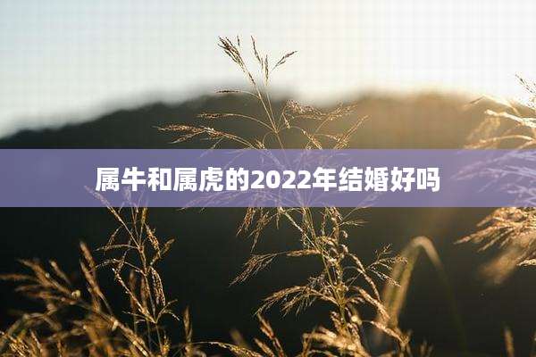 属牛和属虎的2022年结婚好吗