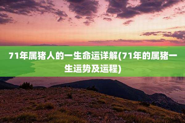 71年属猪人的一生命运详解(71年的属猪一生运势及运程)