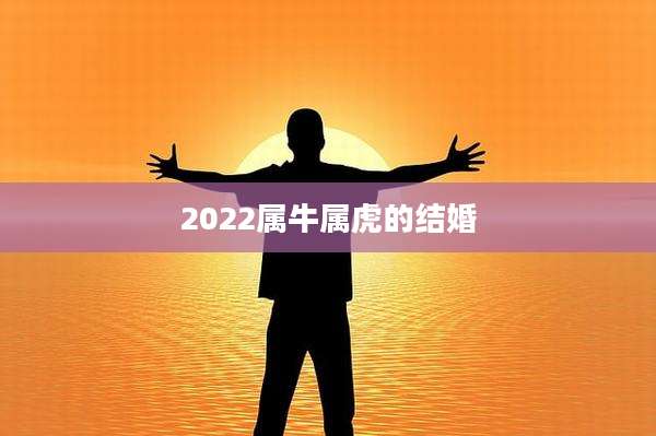 2022属牛属虎的结婚