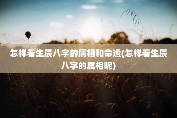 怎样看生辰八字的属相和命运(怎样看生辰八字的属相呢)
