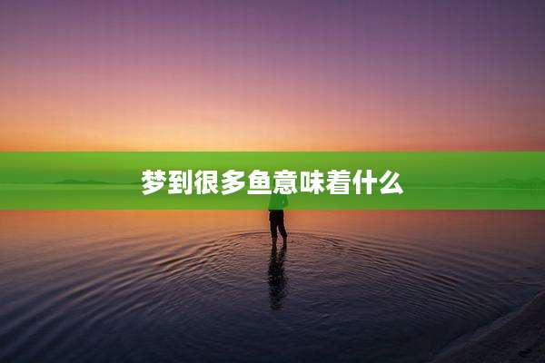梦到很多鱼意味着什么