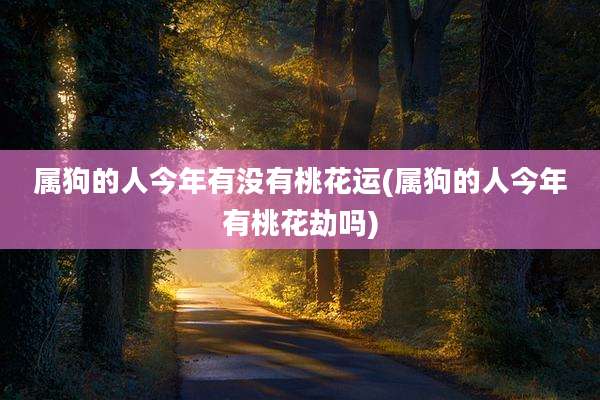 属狗的人今年有没有桃花运(属狗的人今年有桃花劫吗)