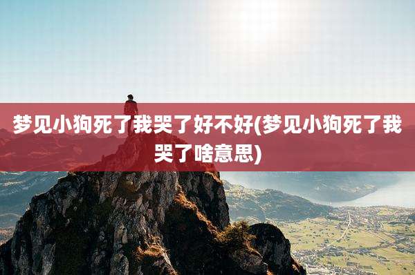 梦见小狗死了我哭了好不好(梦见小狗死了我哭了啥意思)