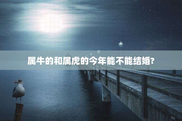 属牛的和属虎的今年能不能结婚?