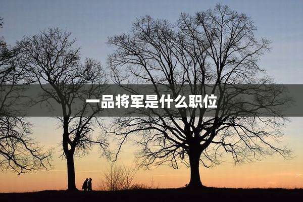 一品将军是什么职位